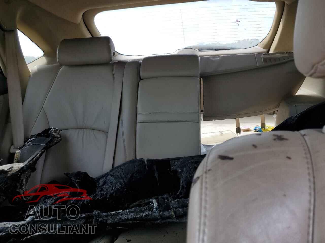 LEXUS RX350 2009 - 2T2GK31U19C062873