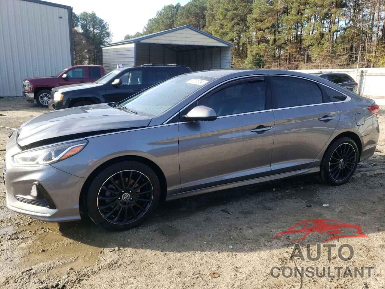 HYUNDAI SONATA 2019 - 5NPE24AF8KH741819