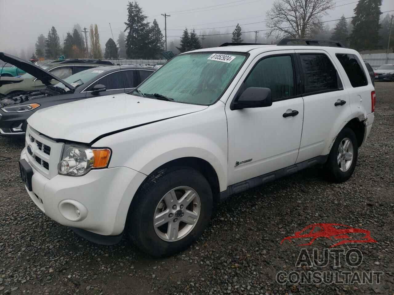 FORD ESCAPE 2009 - 1FMCU59339KA71332