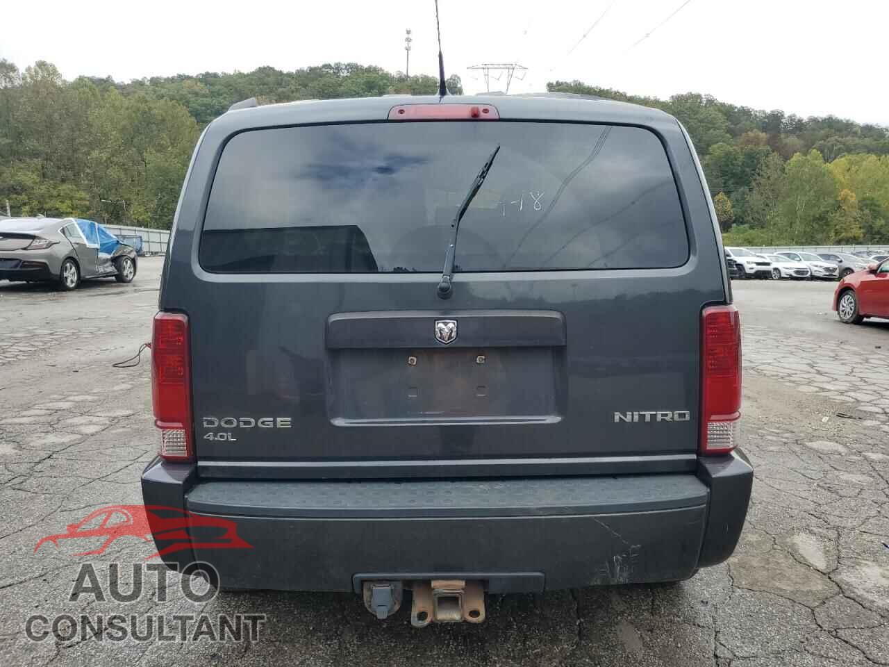 DODGE NITRO 2011 - 1D4PU4GX5BW501613