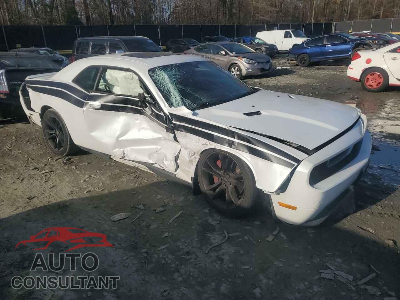 DODGE CHALLENGER 2014 - 2C3CDYAG1EH207693