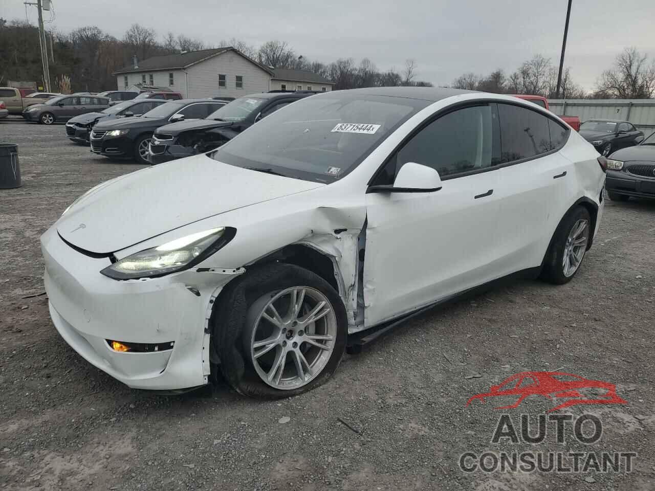 TESLA MODEL Y 2023 - 7SAYGDEE7PF673621