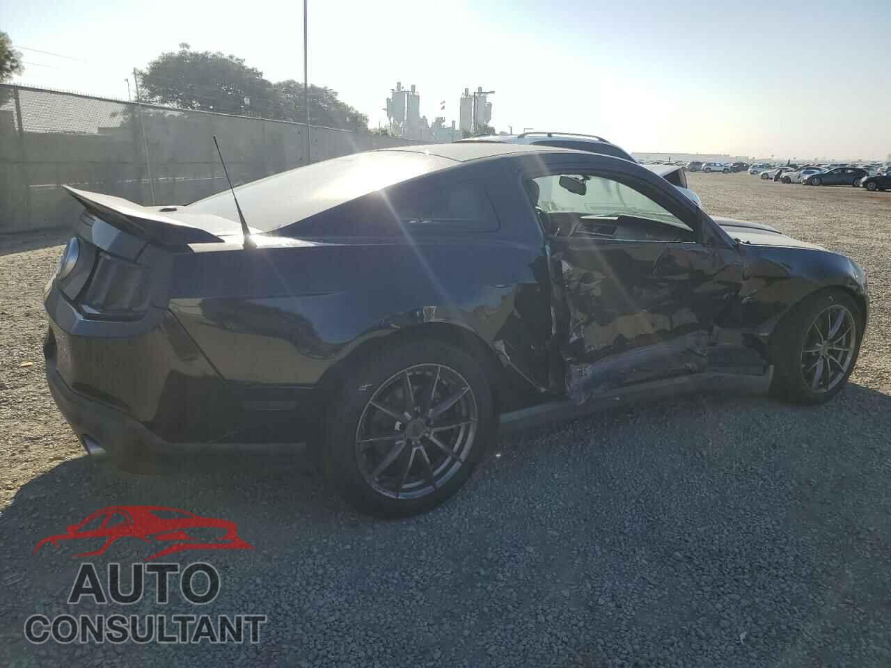 FORD MUSTANG 2011 - 1ZVBP8CF0B5131631
