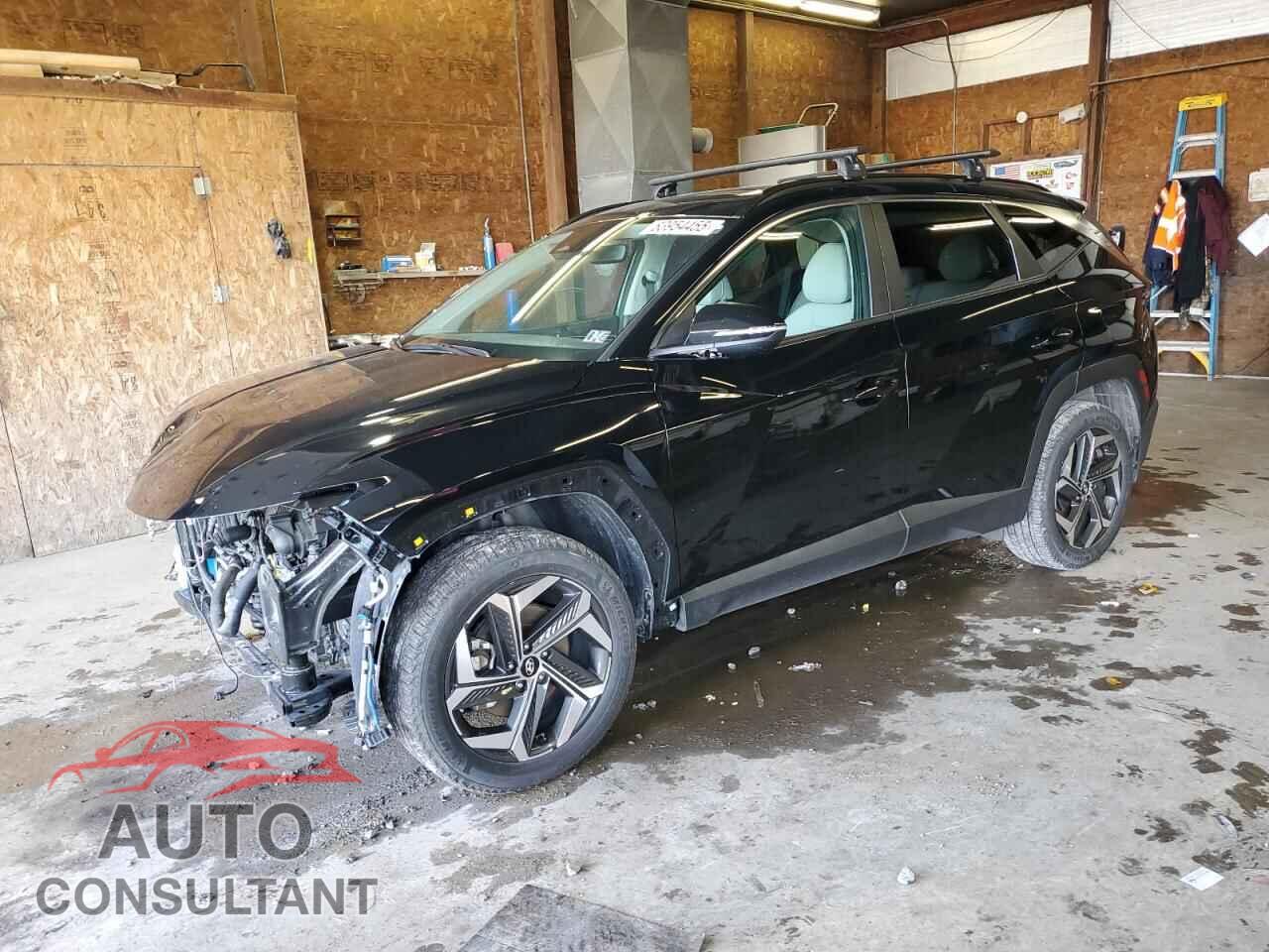 HYUNDAI TUCSON 2024 - 5NMJFCDE6RH347310
