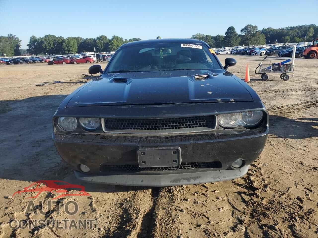 DODGE CHALLENGER 2013 - 2C3CDYAGXDH535953