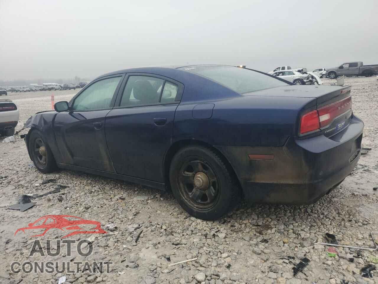 DODGE CHARGER 2014 - 2C3CDXAT8EH223865