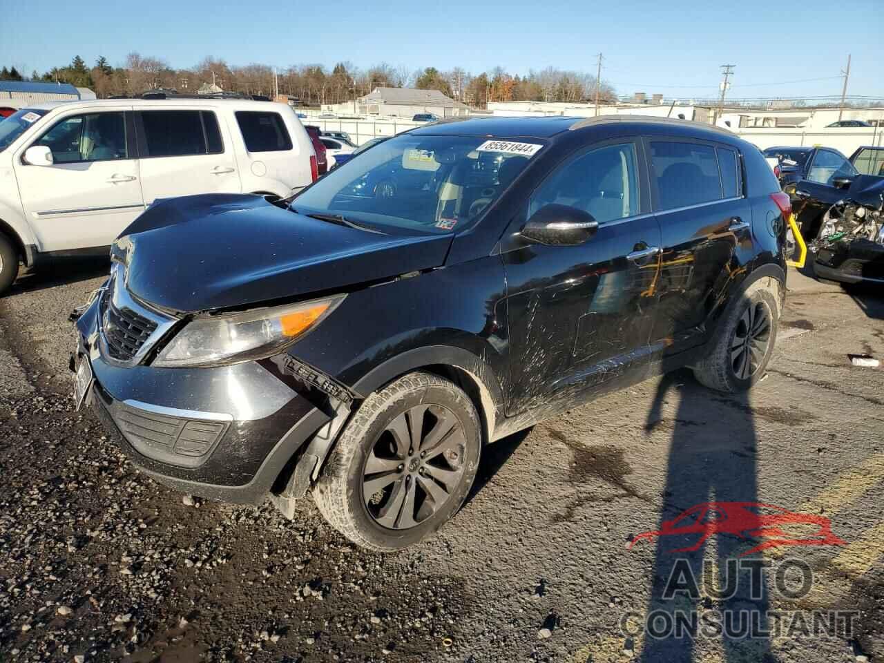 KIA SPORTAGE 2011 - KNDPC3A25B7101374