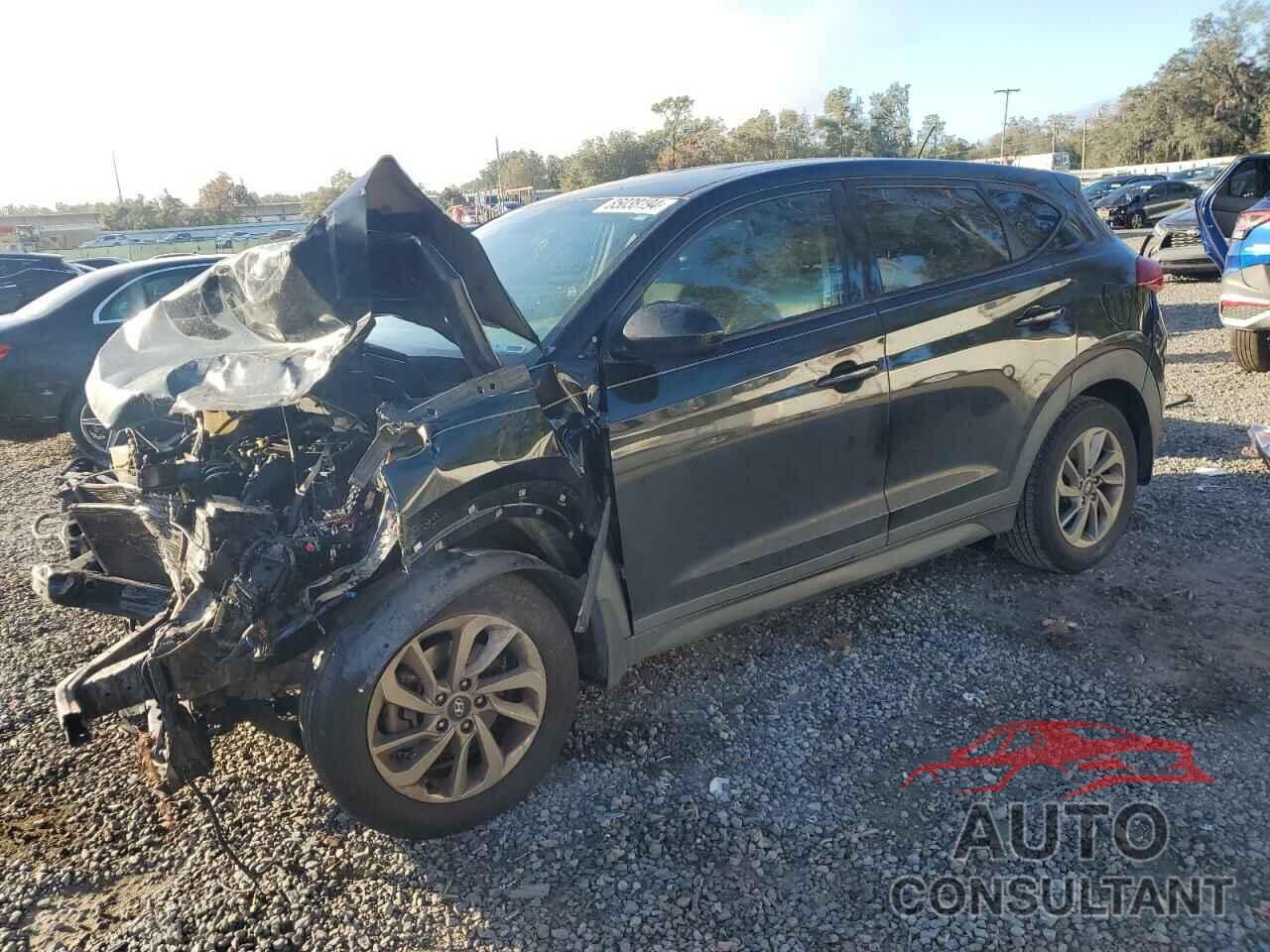 HYUNDAI TUCSON 2017 - KM8J23A48HU528693