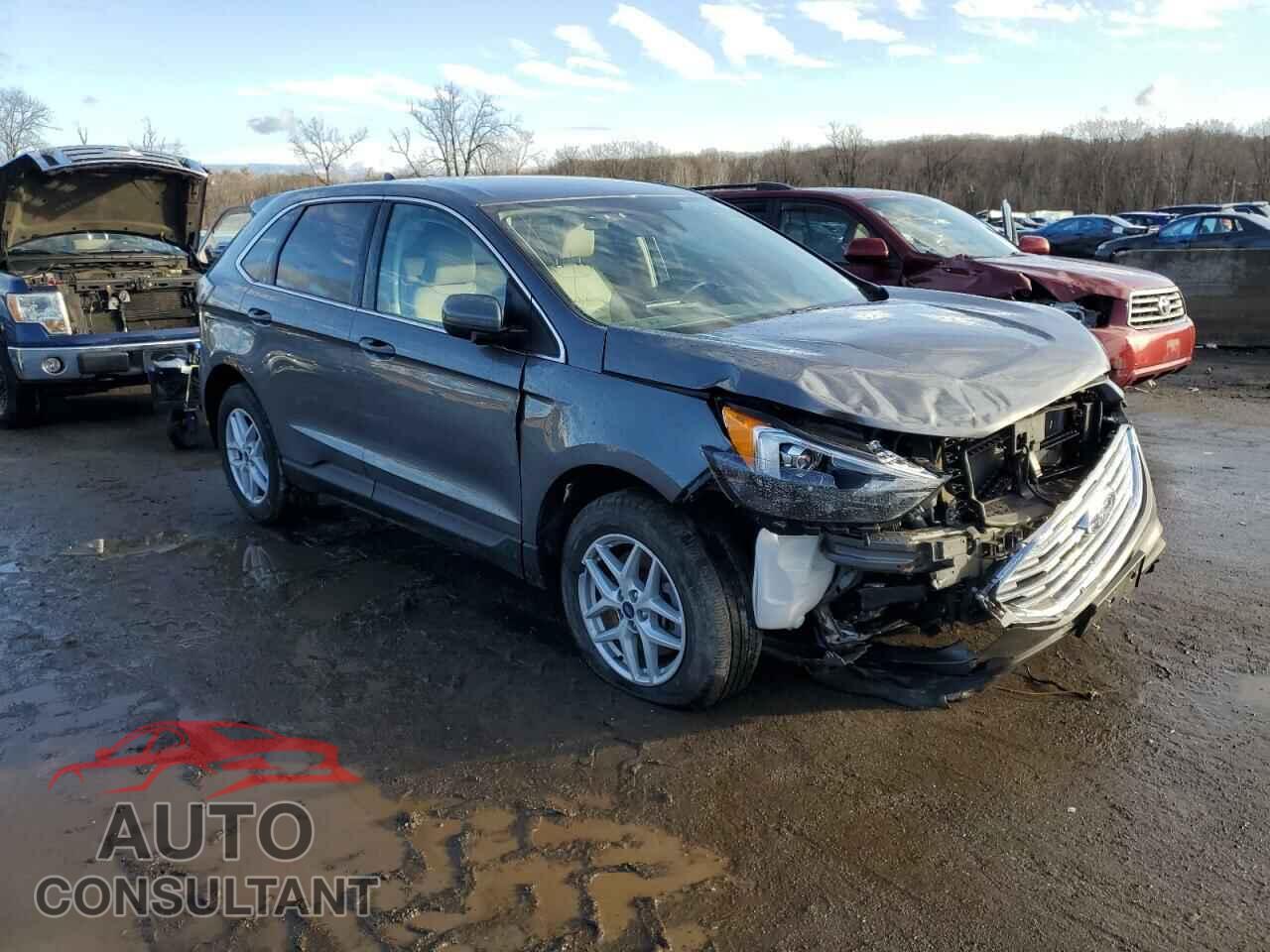 FORD EDGE 2022 - 2FMPK4J92NBB11793