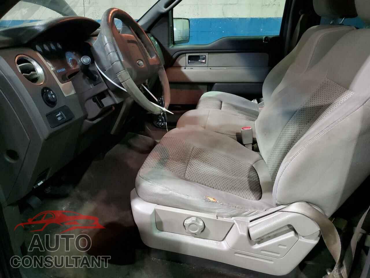 FORD F150 2010 - 1FTEW1E86AFC19018