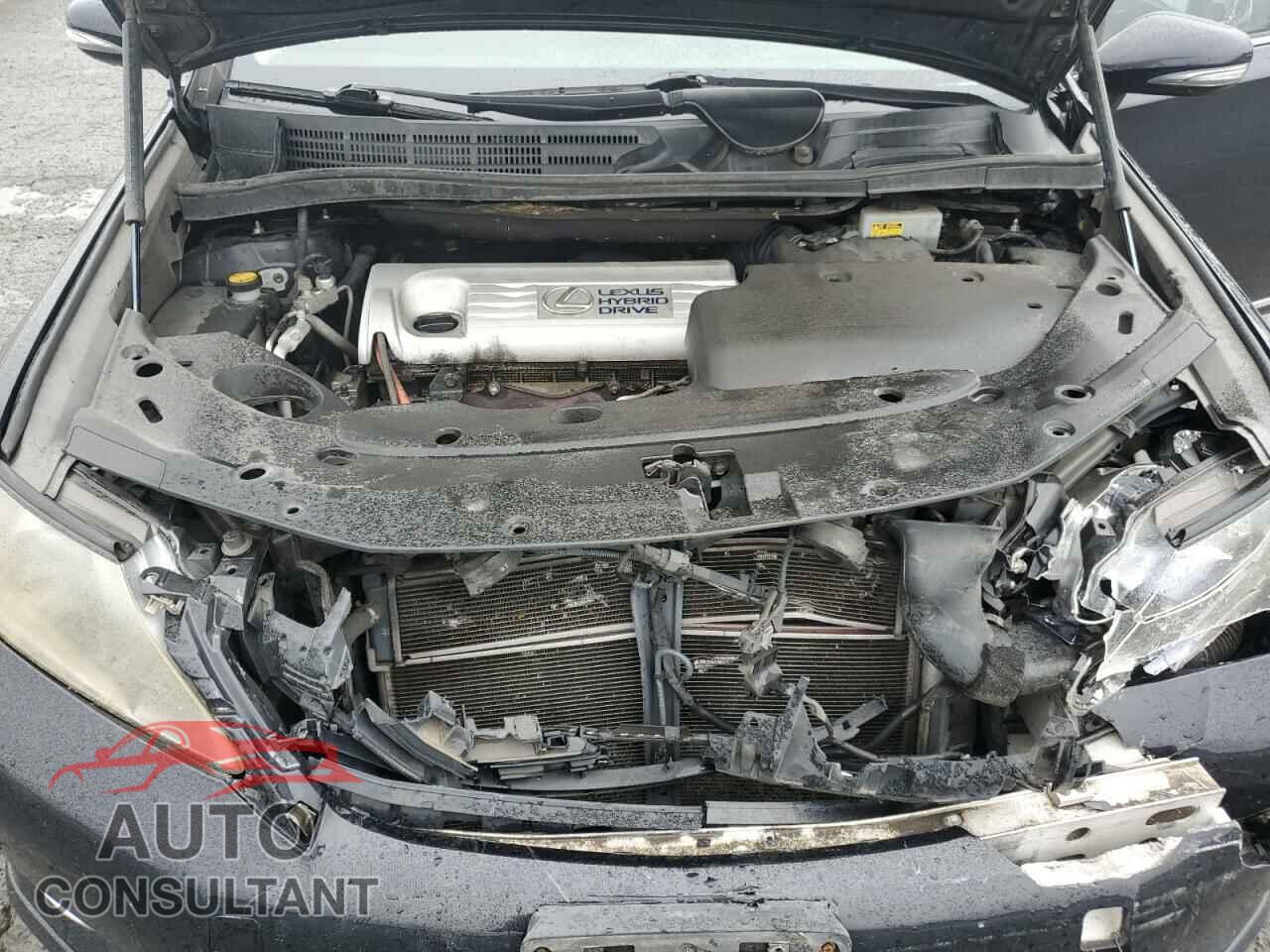 LEXUS HS 2010 - JTHBB1BA7A2013315