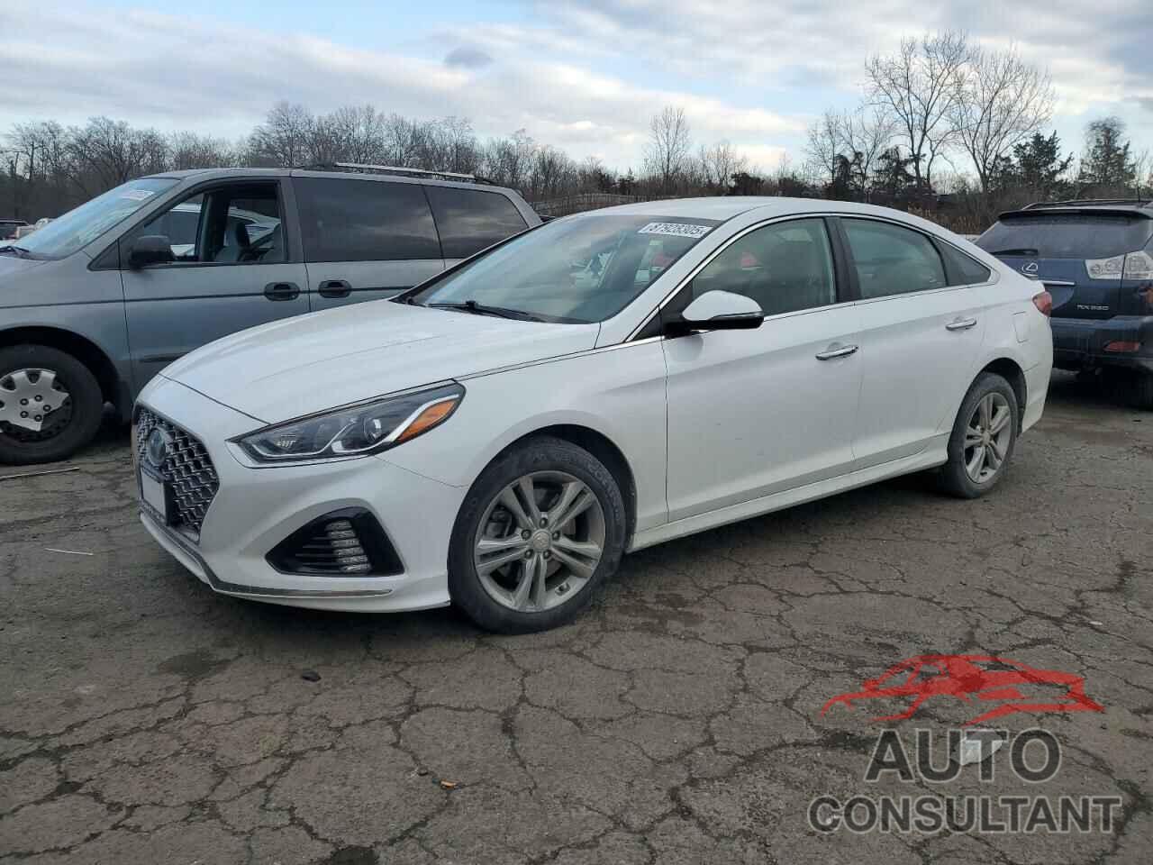 HYUNDAI SONATA 2019 - 5NPE34AF9KH792503