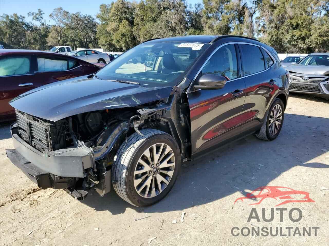 FORD ESCAPE 2020 - 1FMCU0DZ5LUC35254