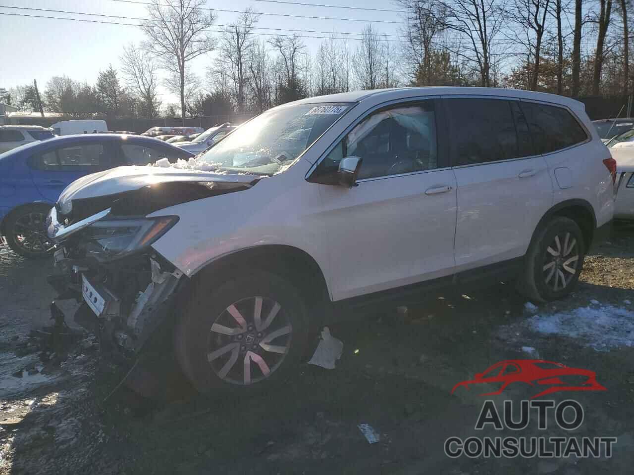 HONDA PILOT 2020 - 5FNYF6H51LB013723