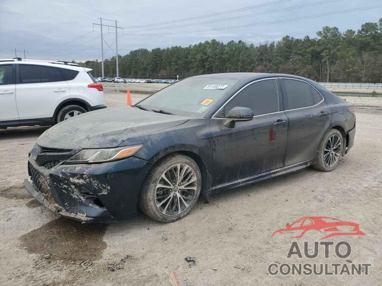 TOYOTA CAMRY 2019 - 4T1B11HK1KU291505