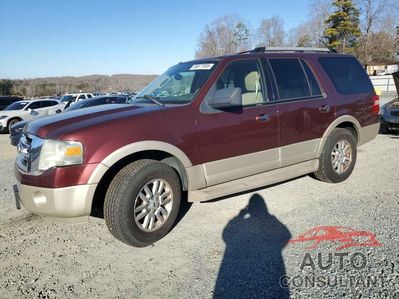FORD EXPEDITION 2010 - 1FMJU1H52AEA34424