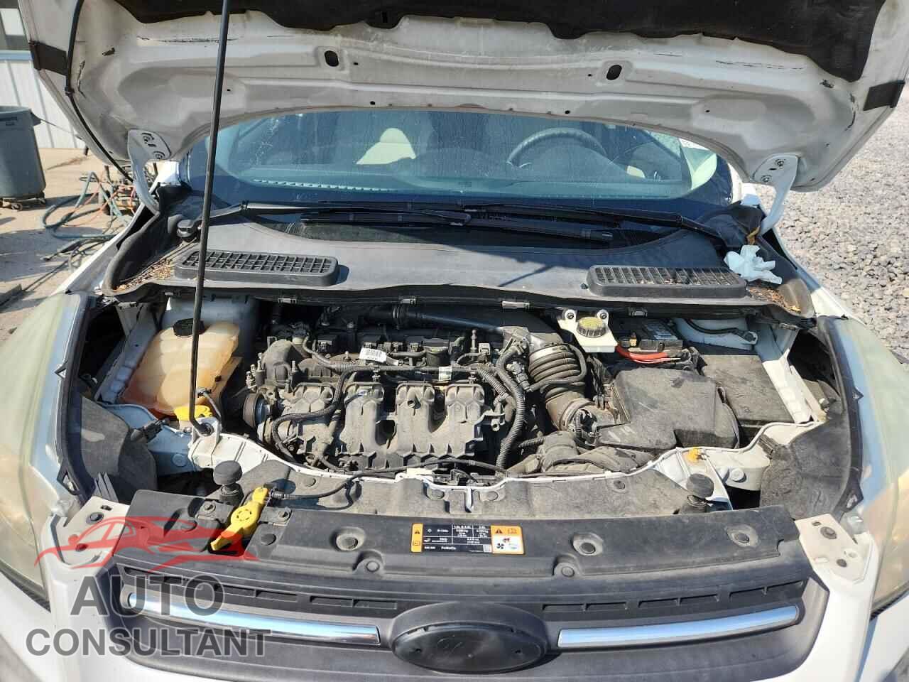 FORD ESCAPE 2014 - 1FMCU0G91EUE35546
