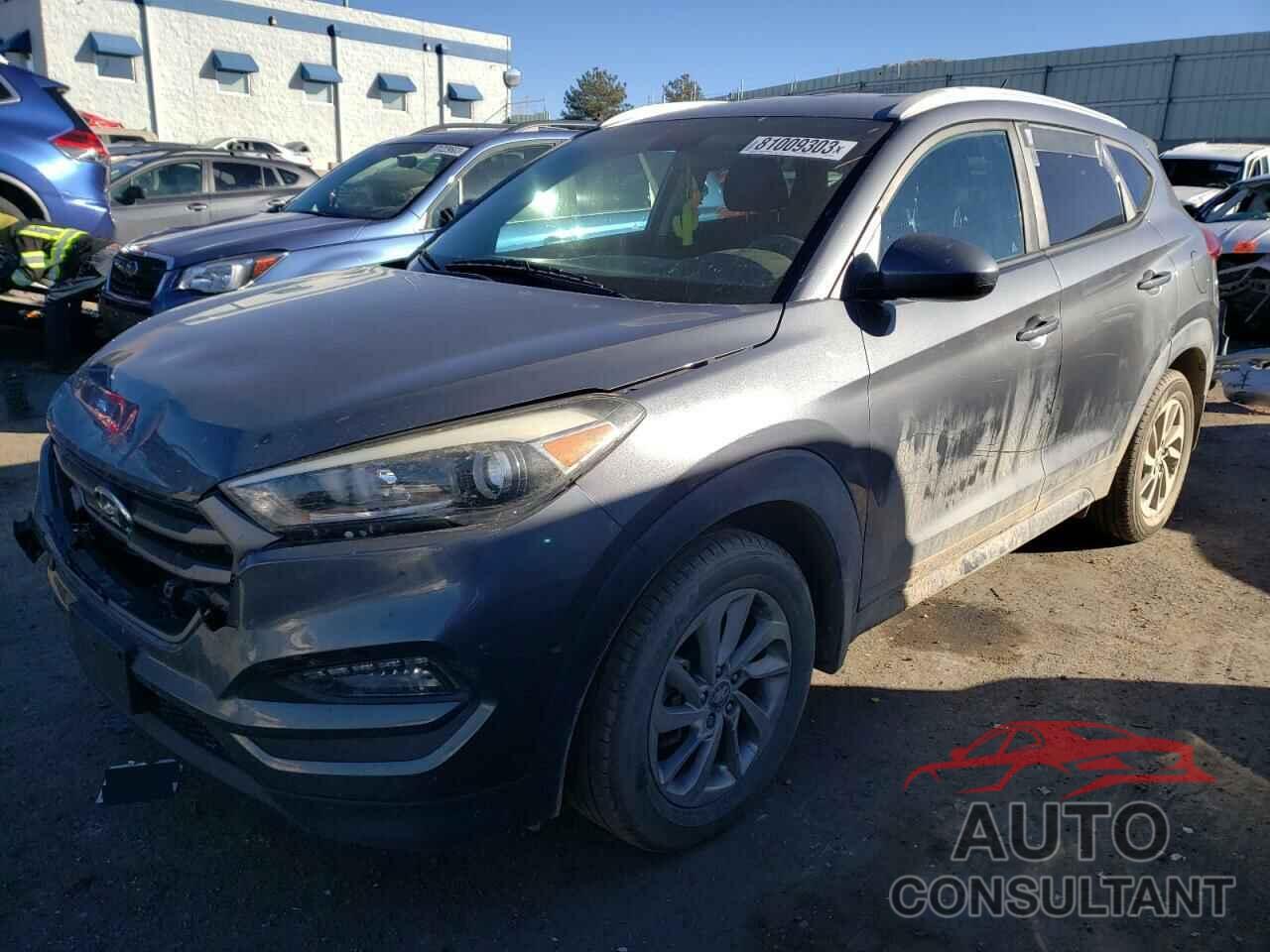 HYUNDAI TUCSON 2016 - KM8J33A46GU154774