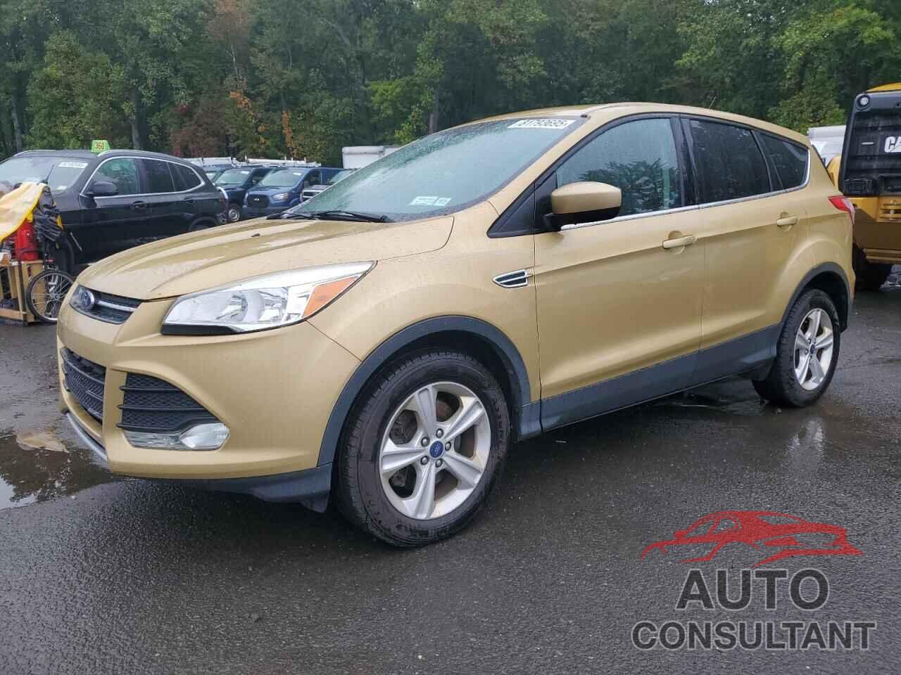FORD ESCAPE 2014 - 1FMCU9GXXEUD47873