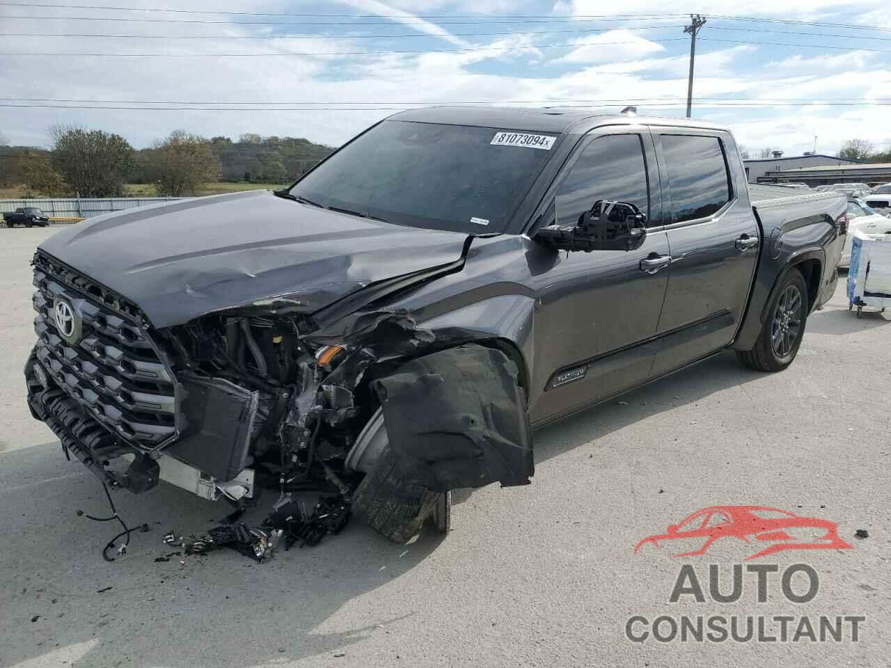 TOYOTA TUNDRA 2023 - 5TFNA5DB6PX063973