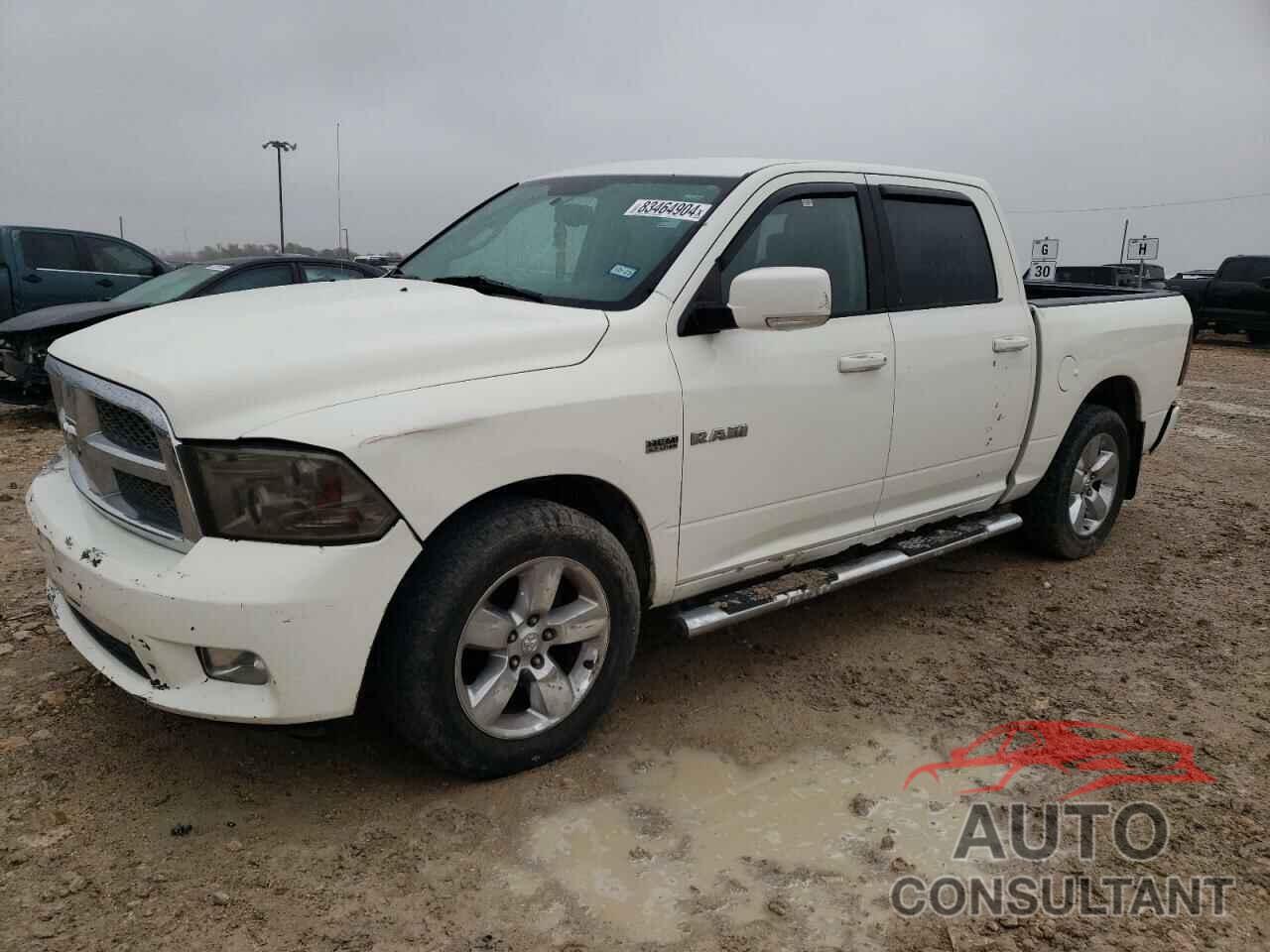 DODGE All Models 2009 - 1D3HB13T39S703531