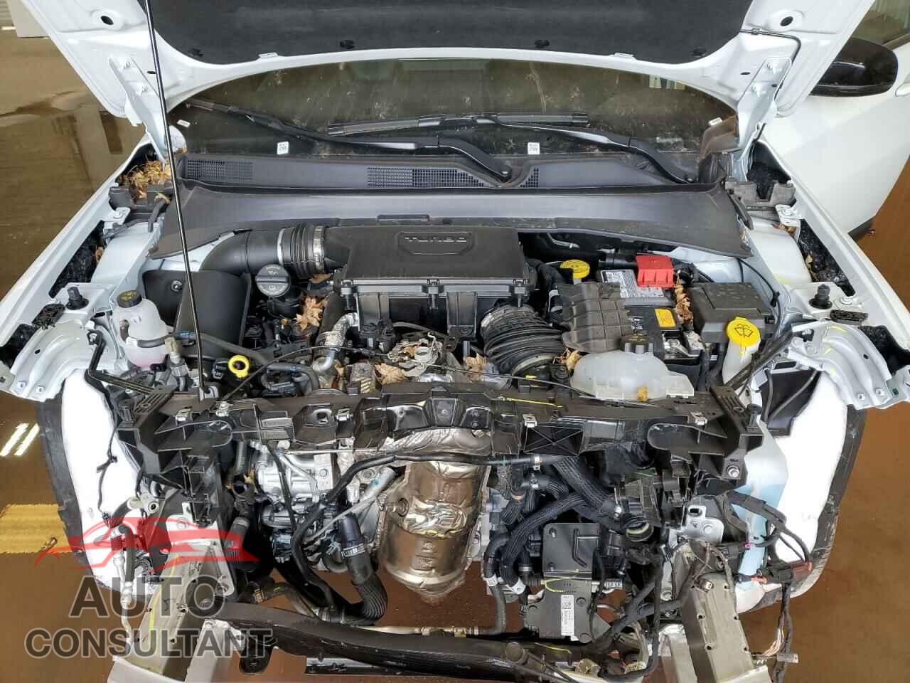 JEEP COMPASS 2025 - 3C4NJDCN3ST512570