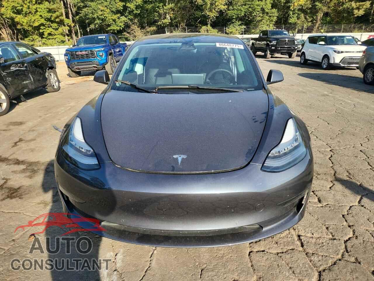 TESLA MODEL 3 2021 - 5YJ3E1EA3MF856633