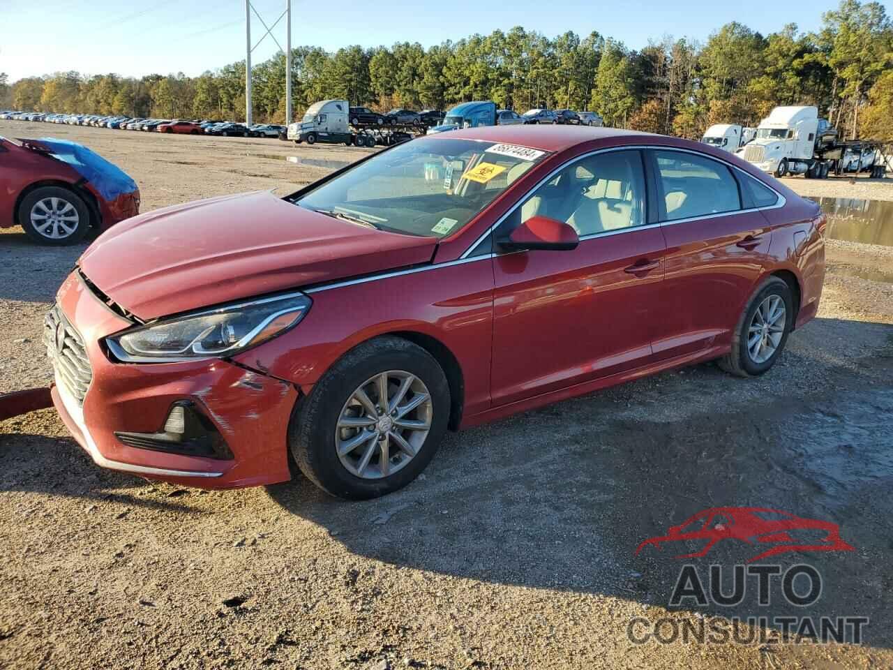 HYUNDAI SONATA 2019 - 5NPE24AF8KH778773