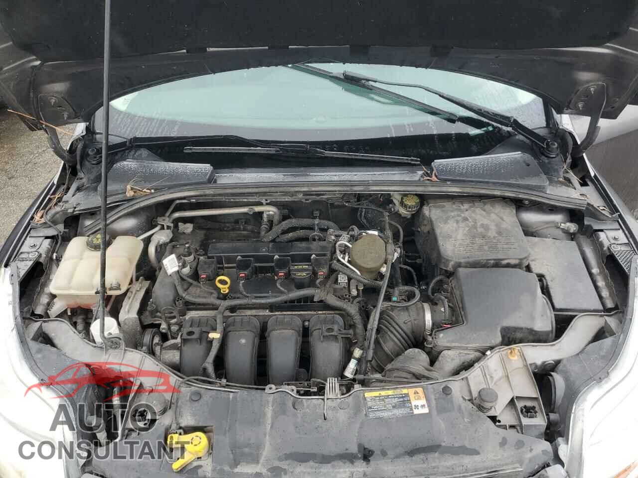 FORD FOCUS 2014 - 1FADP3E20EL198969