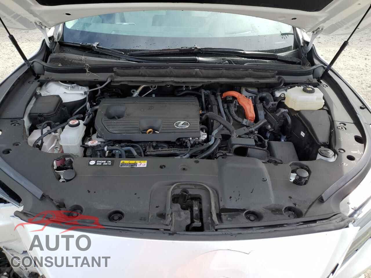 LEXUS RX 350H BA 2023 - 2T2BBMCA7PC017856