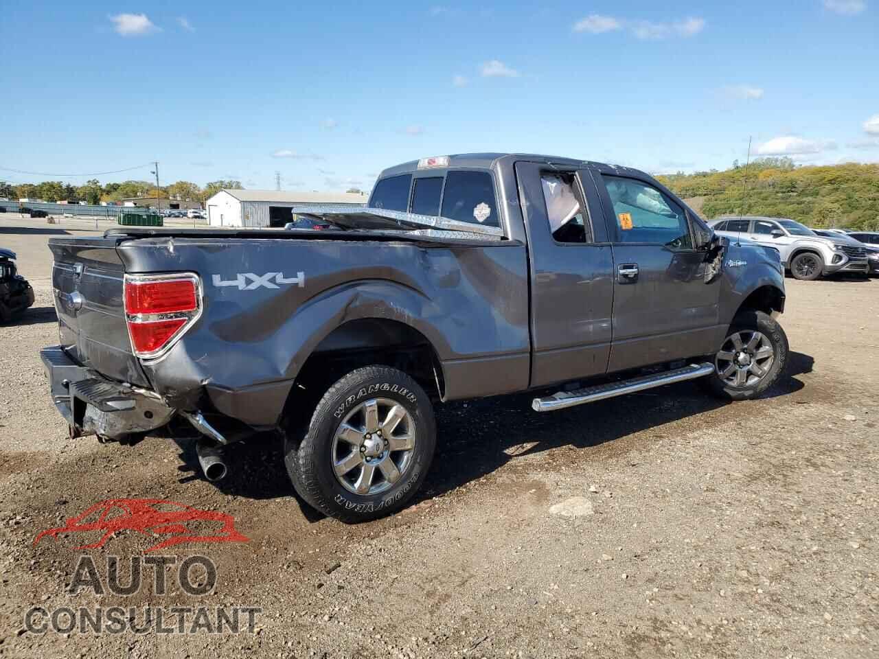 FORD F-150 2013 - 1FTFX1EF3DFC26545
