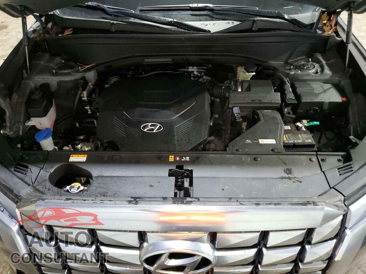HYUNDAI PALISADE 2024 - KM8R7DGEXRU659717