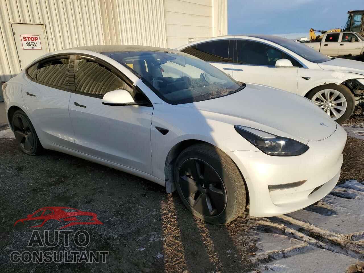 TESLA MODEL 3 2021 - 5YJ3E1EB2MF079712