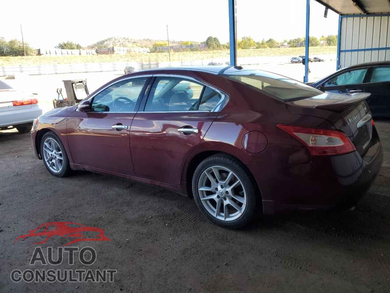 NISSAN MAXIMA 2009 - 1N4AA51EX9C839857