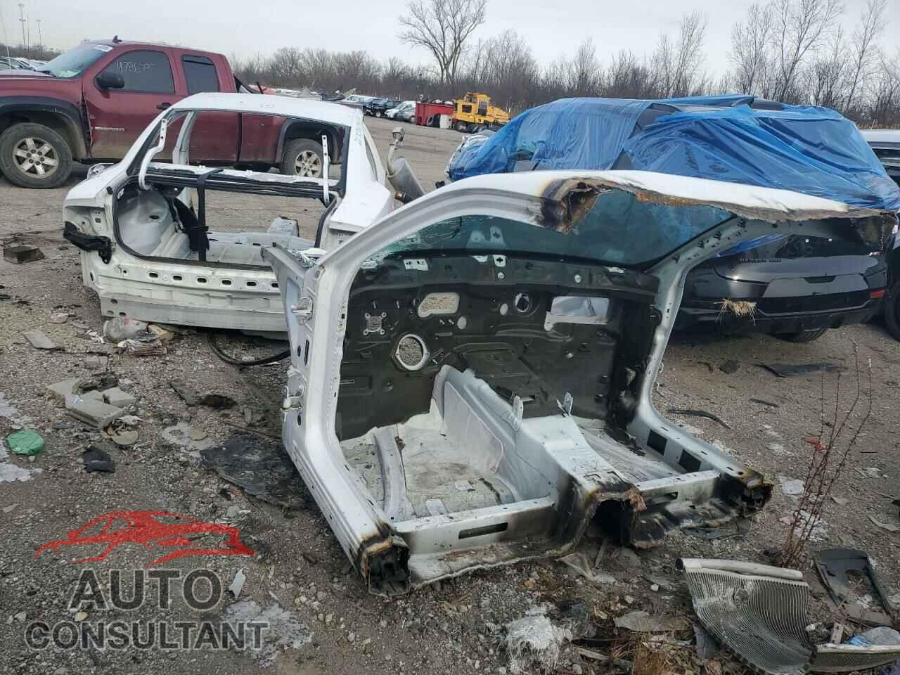 DODGE CHARGER 2019 - 2C3CDXGJ3KH576645