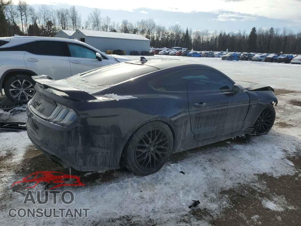 FORD MUSTANG 2021 - 1FA6P8CFXM5125509