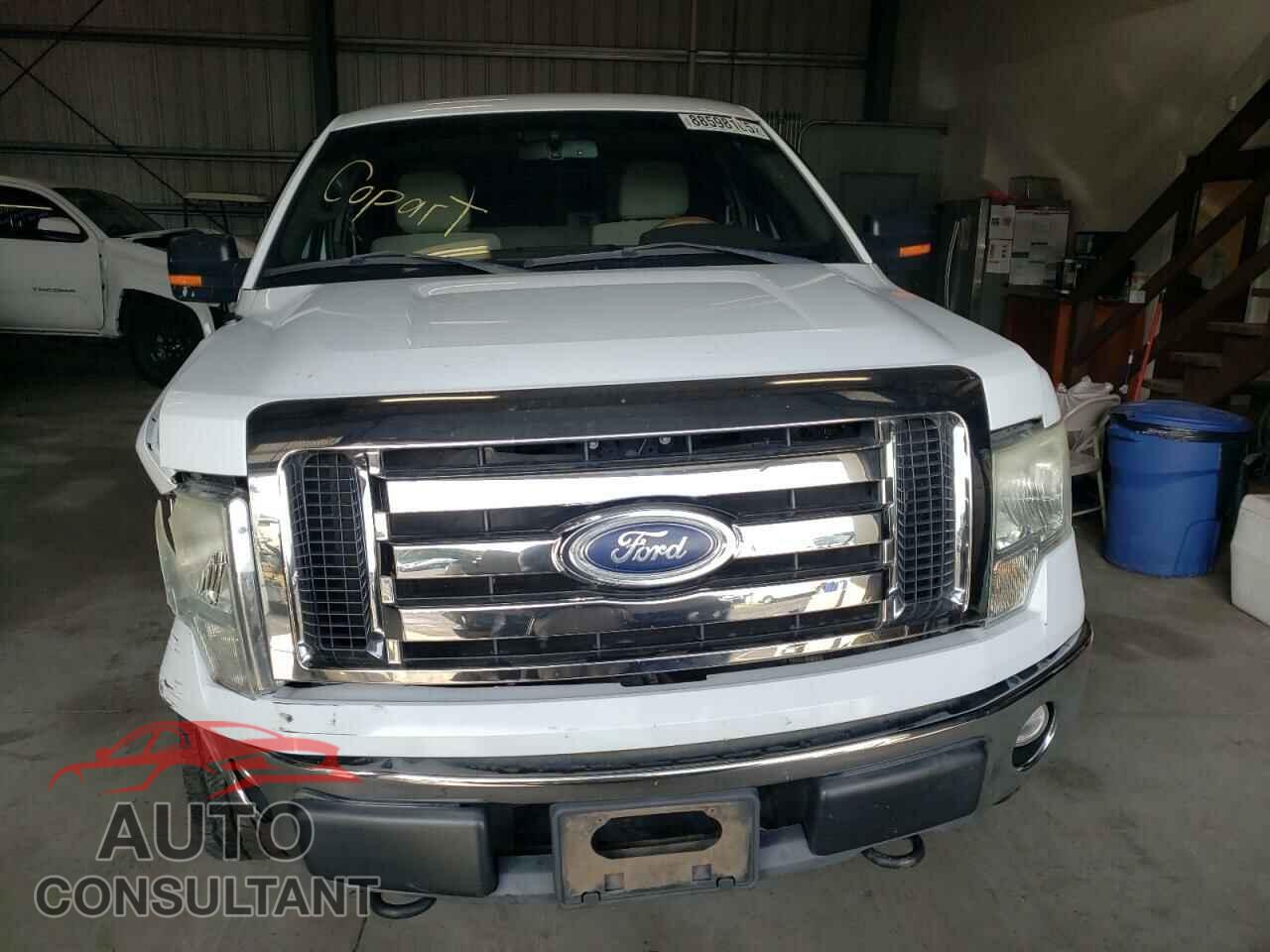 FORD F-150 2010 - 1FTFX1EV6AFD11916