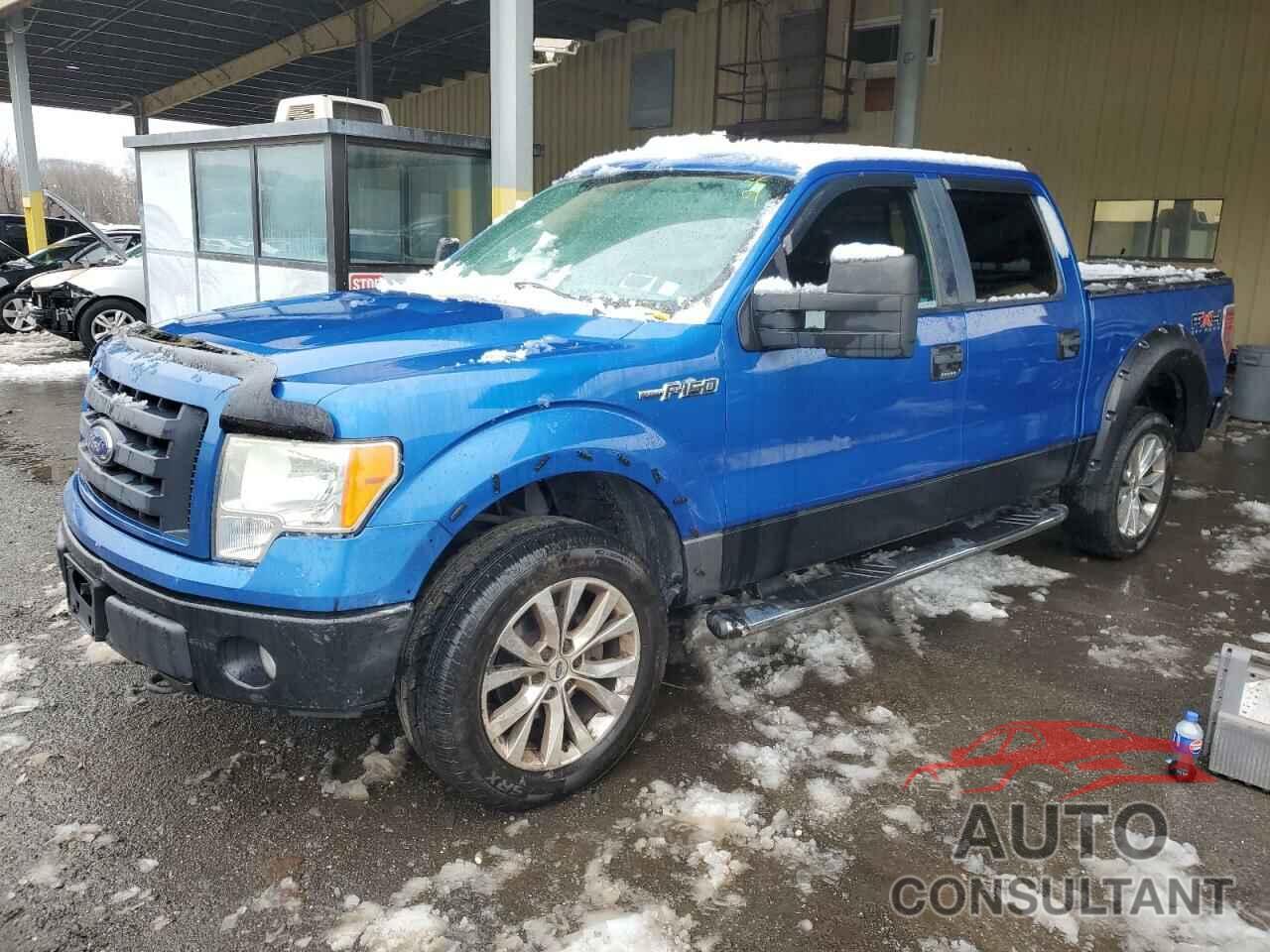 FORD F-150 2009 - 1FTPW14V19FA11155