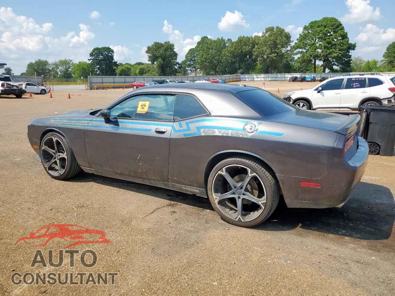 DODGE CHALLENGER 2013 - 2C3CDYAG7DH674549