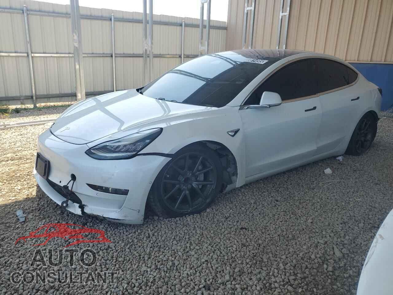 TESLA MODEL 3 2019 - 5YJ3E1EA3KF299901