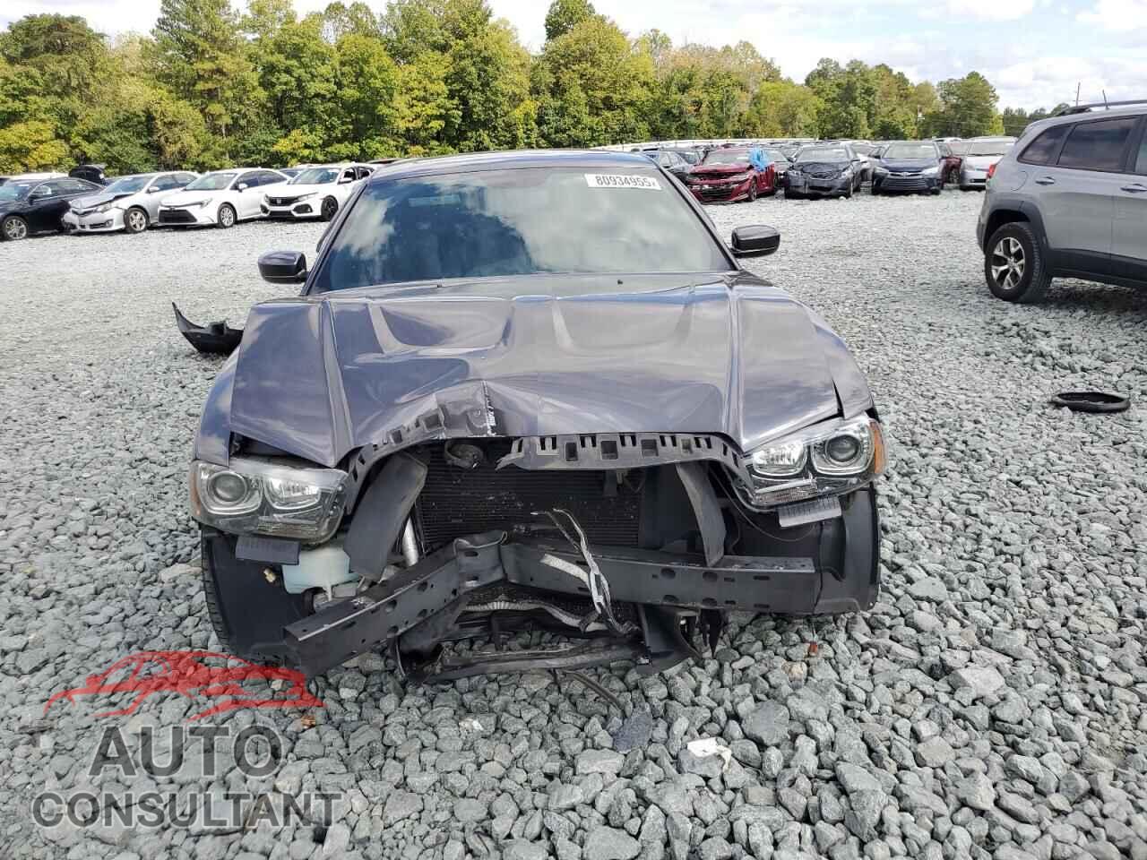 DODGE CHARGER 2014 - 2C3CDXCT1EH370154