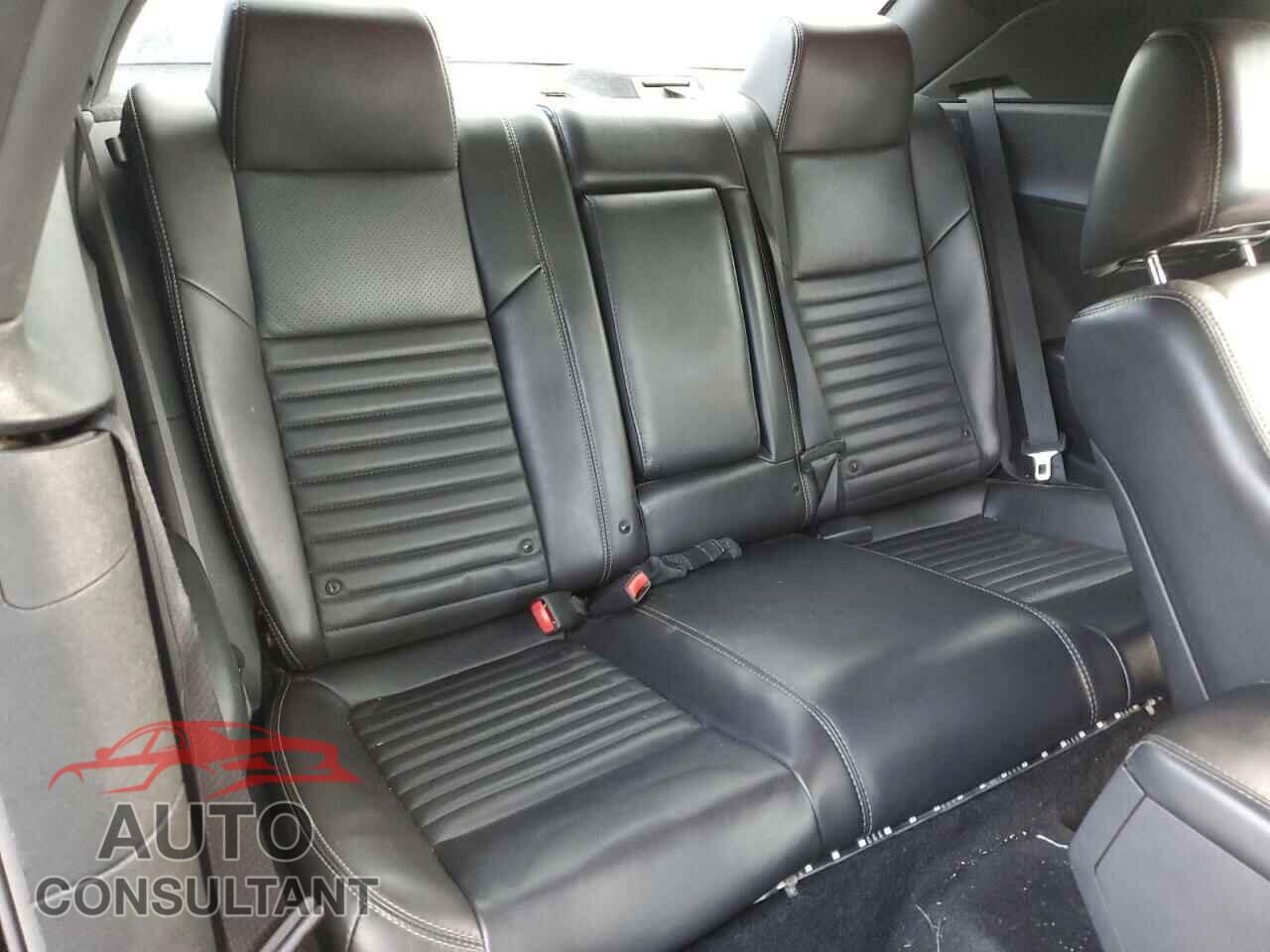 DODGE CHALLENGER 2013 - 2C3CDYAG3DH511591