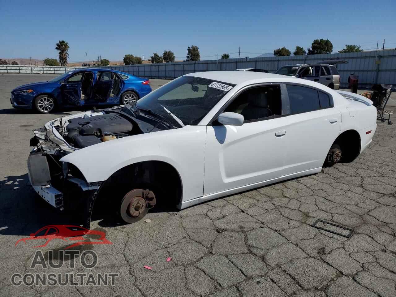 DODGE CHARGER 2011 - 2B3CL3CG2BH503060