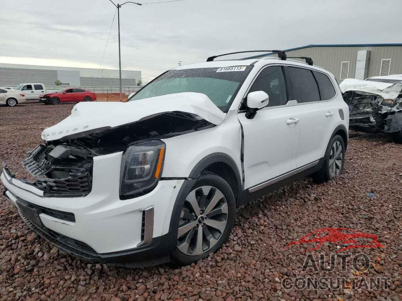 KIA TELLURIDE 2021 - 5XYP3DHC4MG154464