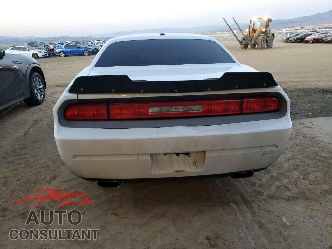 DODGE CHALLENGER 2013 - 2C3CDYAG3DH540315