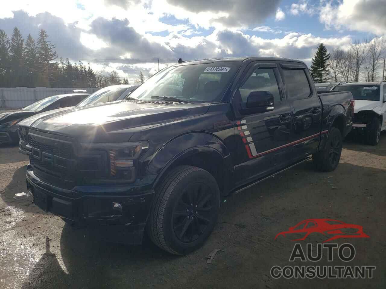 FORD F-150 2019 - 1FTEW1E46KFB31018