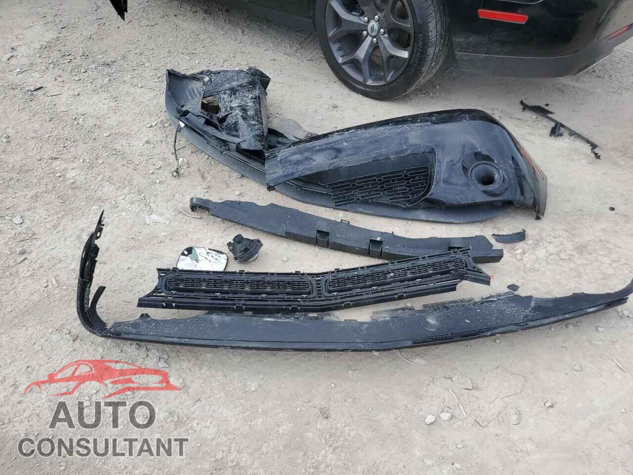 DODGE CHALLENGER 2019 - 2C3CDZAG5KH731379
