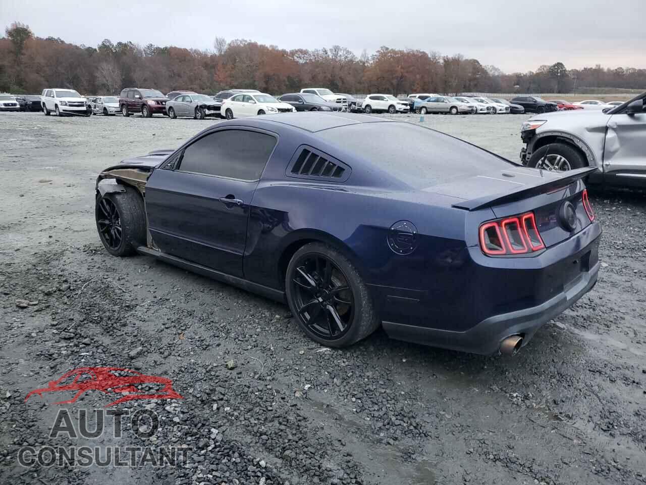 FORD MUSTANG 2011 - 1ZVBP8CF3B5157091