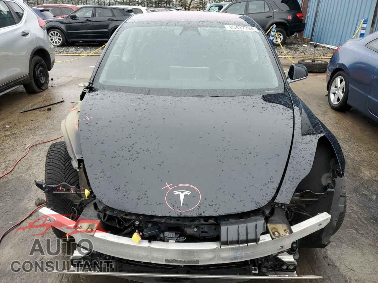 TESLA MODEL 3 2019 - 5YJ3E1EB2KF384303
