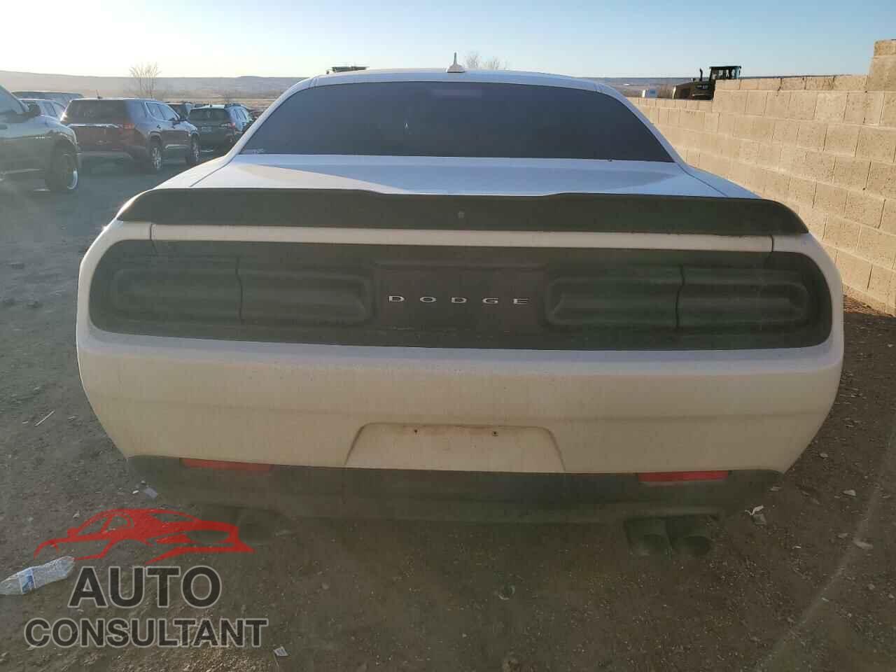 DODGE CHALLENGER 2019 - 2C3CDZBT4KH592955